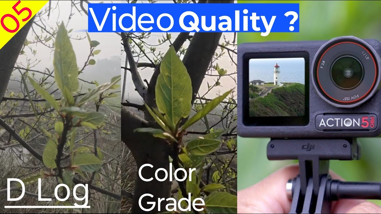 DJI Action 5pro video quality ! D Log Color Grading! Dji Osmo Action ...