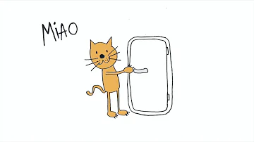Perché si dice gatto ci cova?