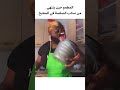 ميمز روعة V139 شورت ميمز 