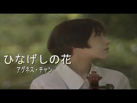 （カラオケ） ひなげしの花　/　アグネス・チャン
