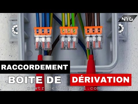 Les connexions dans la boite sont faites avec des wagos  Boitier electrique,  Renovation electrique, Câblage électrique