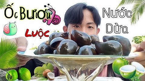 Làm Món Ốc Bươu Luộc Nước Dừa Chấm Nước Mắm Sả Ớt [Ngon Cực]- NCP TV