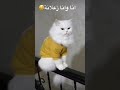 اكيد مبوزا