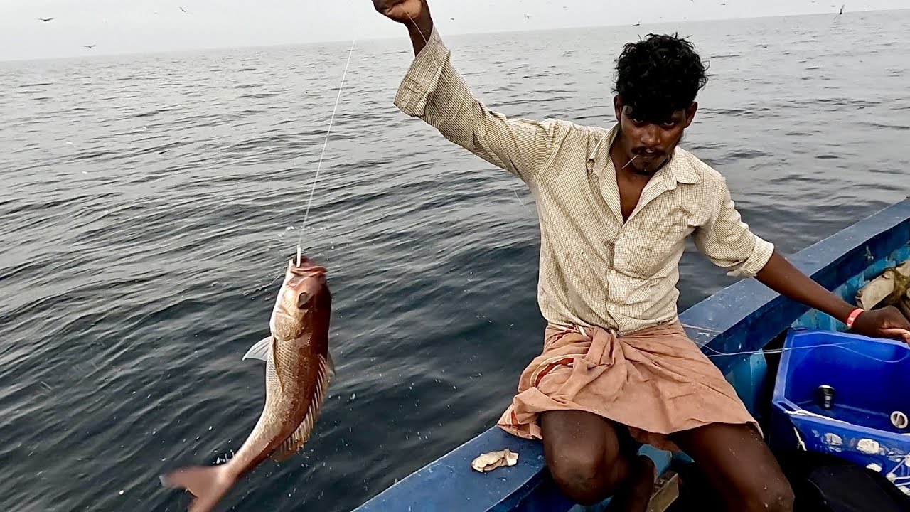 Rosey Snapper Catching Plenty of Rosy Snapper Fish in the Sea - YouTube