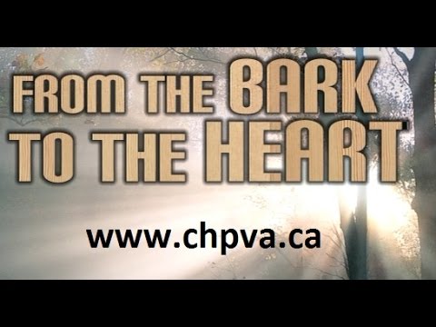 Heart Video
