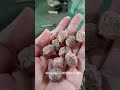 Processing and puffing machine for instant coarse grain meal replacement powder