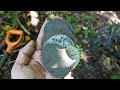 КОП ПО ВОЙНЕ. КУЧА СМЕРТНЫХ ЖЕТОНОВ ВЕРМАХТ.ОРУЖИЕ ИЗ БОЛОТА. WW2 METAL DETECTING