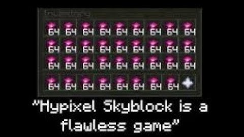 Hypixel Skyblock New Dupe Method I TSM