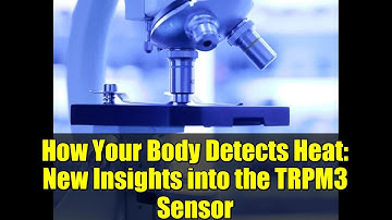 How Your Body Detects Heat: New Insights into the TRPM3 Sensor