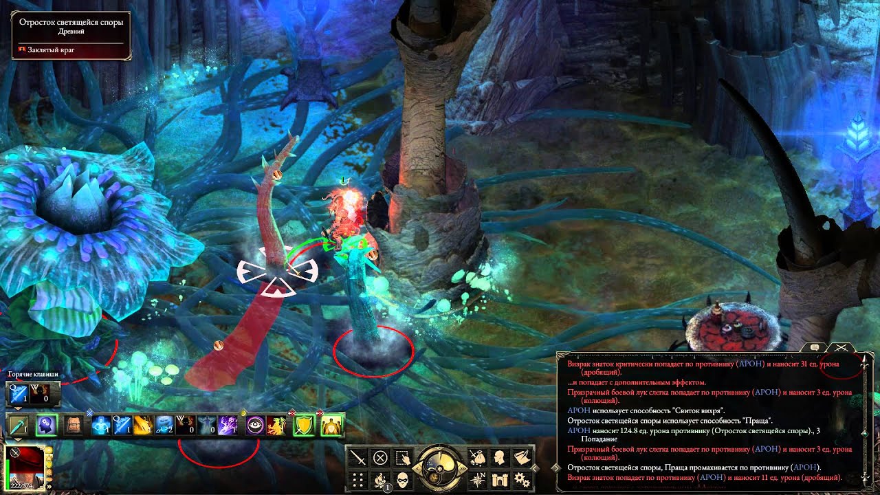 PillarsOfEternity, 3 Короны Соло, паладин, Дом визраков 2ДЛС