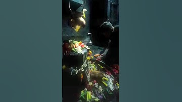 Sawan Status😍Mahadev status🔱Shrawan Status 🕉️ Bholenath status☘️ Mahakal Status ✨Sawan 2025 #shorts