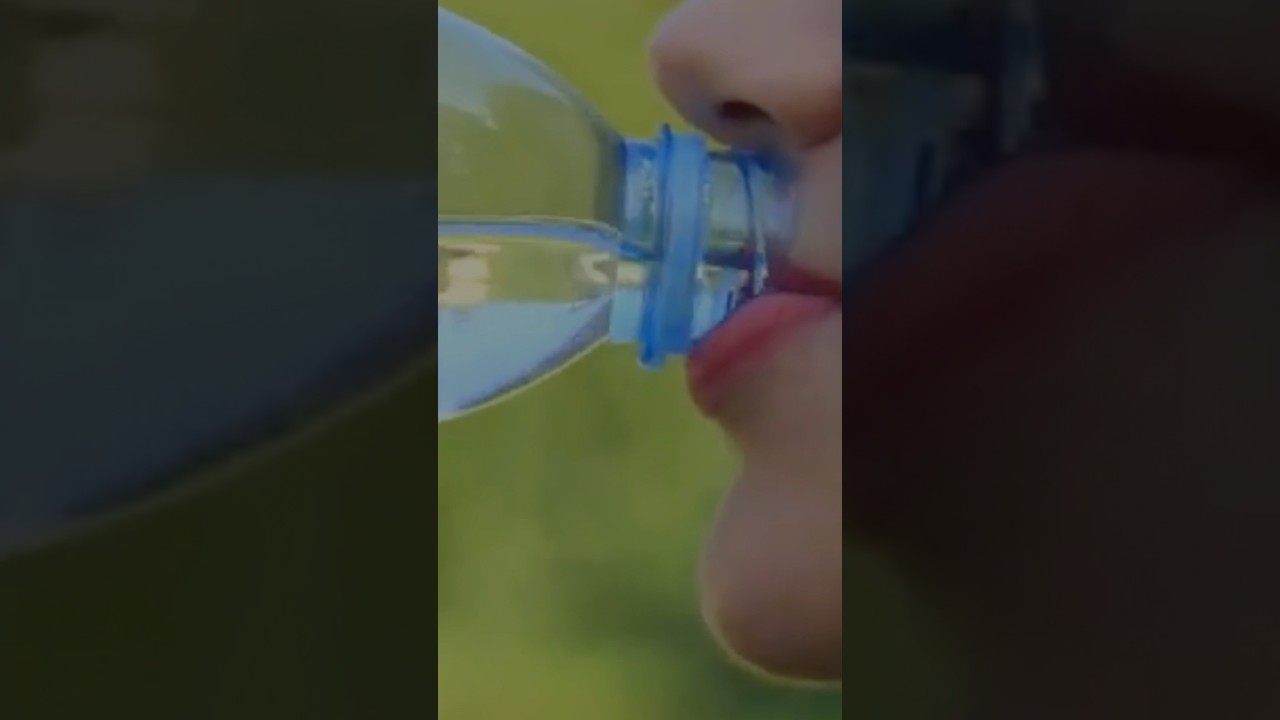 How to Increase Protein Absorption || Improve Gut Health 