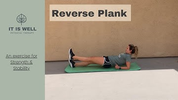 Reverse Plank - with leg lift