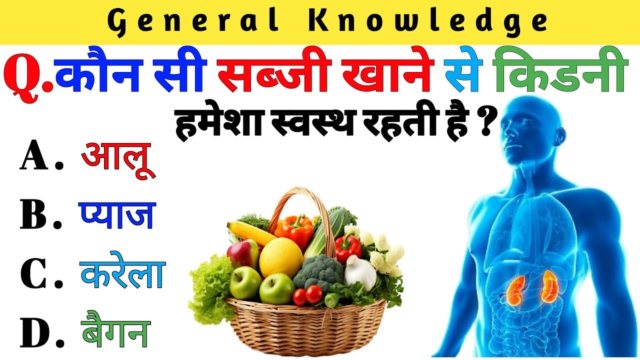 General Knowledge || GK Question and Answer || GK Quiz | SK GK STUDY ...