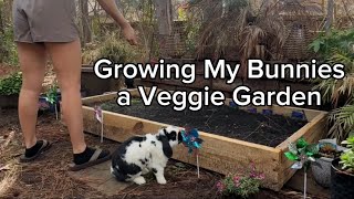 Vegetable Garden for the Bunnies by The Lexi Bunch 118 views 1 month ago 1 minute, 13 seconds