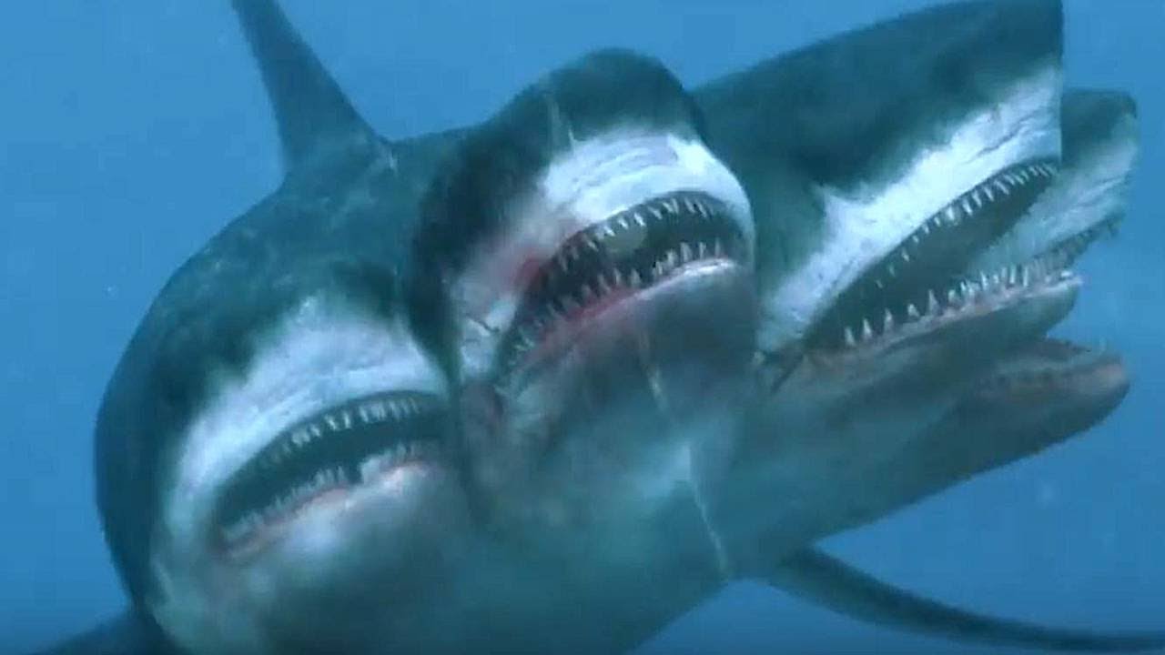 Нападение шестиглавой акулы 2018