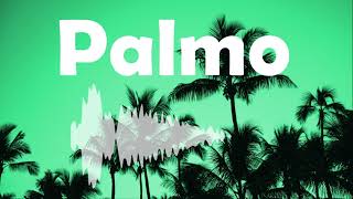 Palmo Daveloper Music