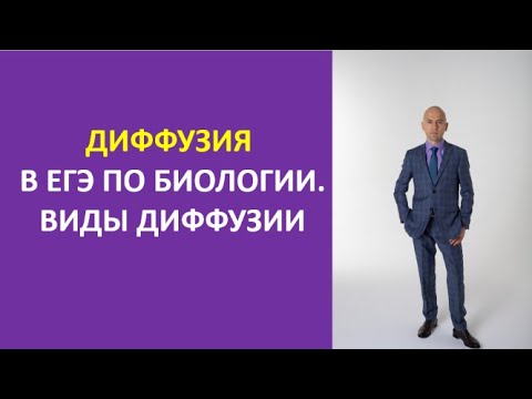 1. Диффузия в ЕГЭ по биологии. Виды диффузии.