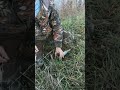 щука на спининг, поймал отпустил, #рыбалка #рекомендации #fishing