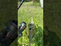 Chasing lil fishies