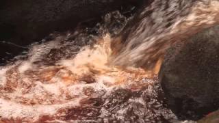 Encoding Project - 1920 x 1080p 25fps using VP9 codec