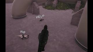 Being Toxic on The Isle Evrima - Ending Baby Dibbles