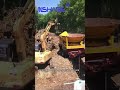 JNSHARE High Efficiency Disc Wood Crusher, Tree Roots, Stumps, Large-diameter Wood Crushing#crusher