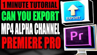 Can You Export MP4 Alpha Channel In Premiere Pro (Step By Step - Full Tutorial)