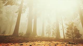 Instant Relief from Stress and Anxiety | Calm Nature Healing Sleep Music screenshot 5