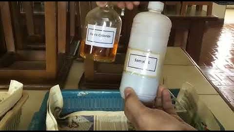 Identify phenol using ferric chloride solution