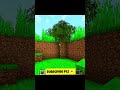 minecraft hidden tree door 🚪 #minecraft #shorts
