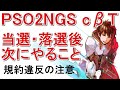 【PSO2NGS】クローズドβテスト当選、落選後にやらないと損すること・規約違反の注意【ニュージェネシス】