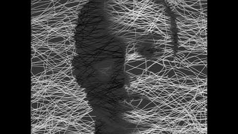 P5js - Drawing with boids exp02