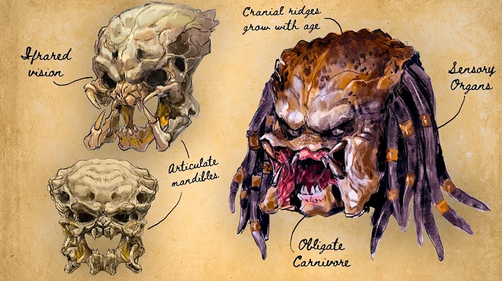 The Disturbing Biology of THE PREDATOR | Yautja Science Explained
