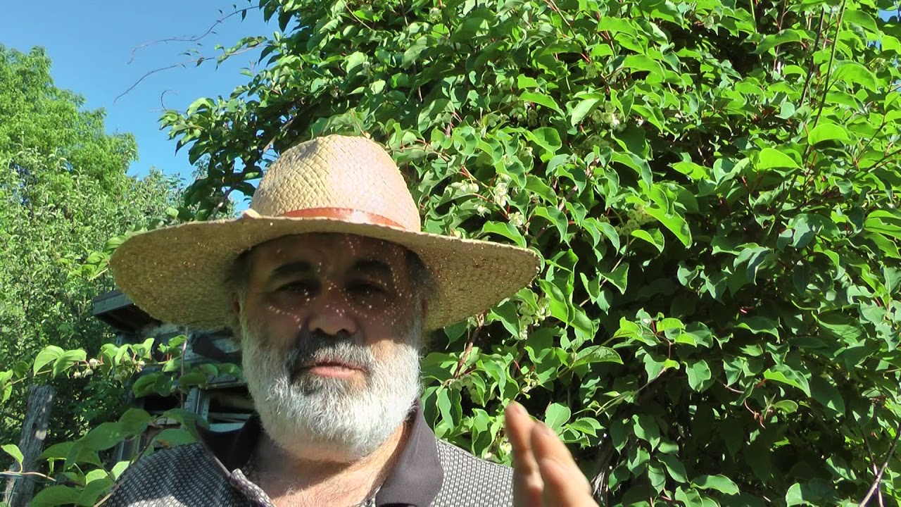 How to make money as a Permaculture Design Consultant - The Church of Permaculture