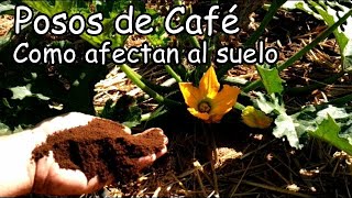 Que Sucede Si Aportas Posos o Borra de Café al Huerto o Jardín || El Huerto de Silverio