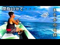【釣り】新鮮な刺身が食べたくて台風直前の海に出たら、あの高級魚が釣れてしまった！