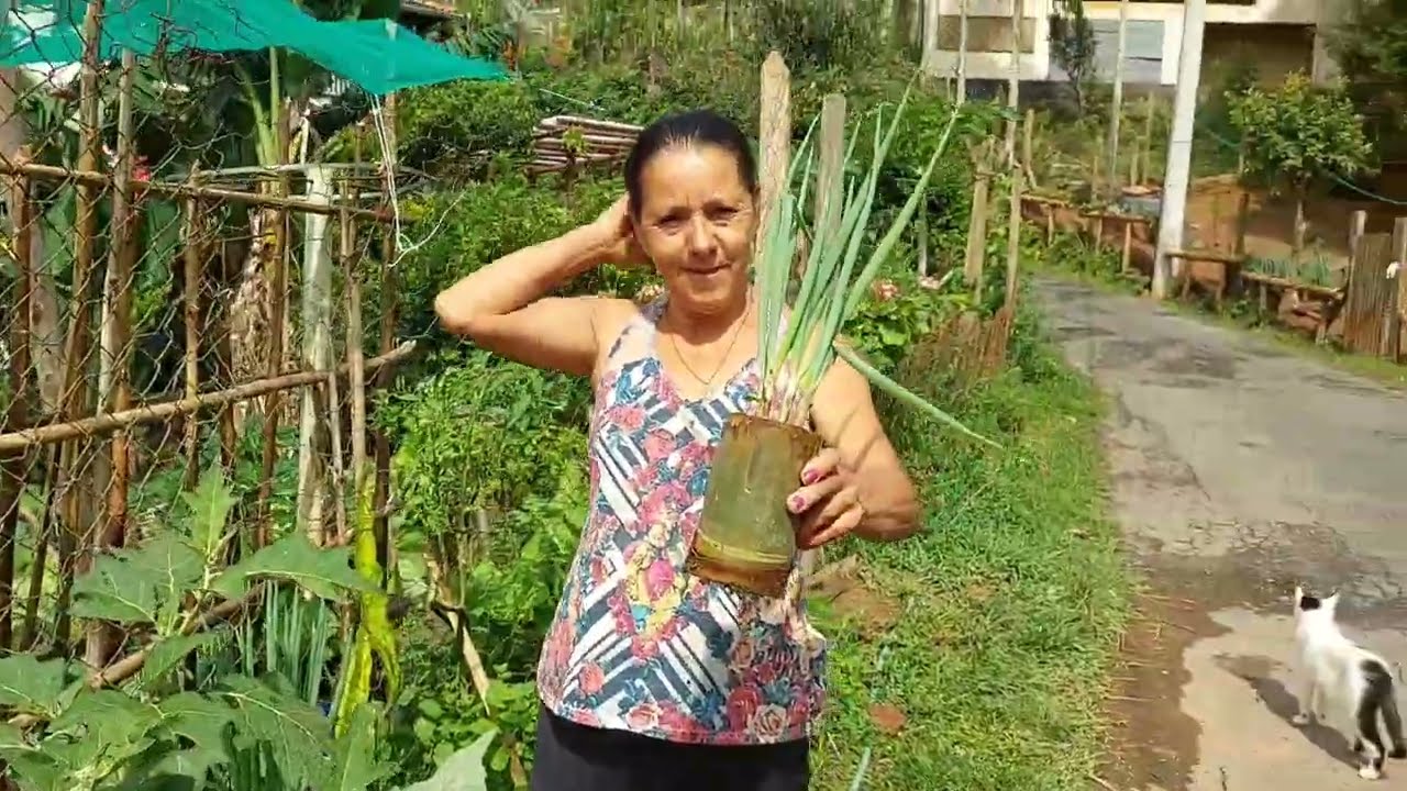 O TATU INVADIU A HORTA