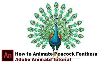 Peacock Feathers Opening Animation | Adobe Animate Tutorial | 2D Animation Software Lesson