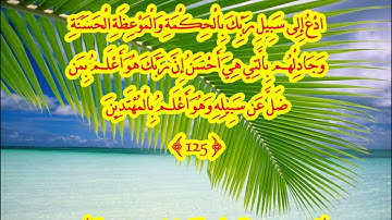 ما تيسر من سورة النحل - الشيخ محمود حمدي العاصي