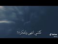 لو صرت انت الهوى والله منرجع سوى مقاطع قصيرة لو صرت انت الهوى والله منرجع سوى مقاطع قصيرة
