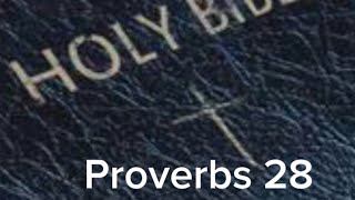 Proverbs 28 (NIV) The Audio Bible