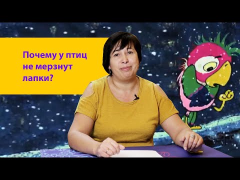 Почему у птиц не мёрзнут лапки зимой? Наталья Носова