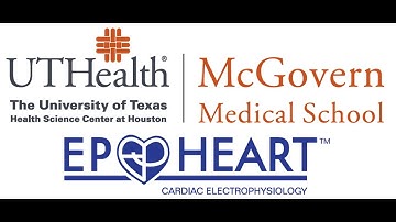 Dr  Mukerji Presentation on Typical Flutter 20200416 1623 1