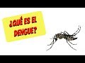 ¿Qué es el dengue?: síntomas, diagnóstico, tratamiento y prevención