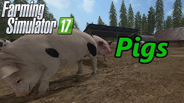 Farming Simulator 17 Tutorial | Pigs