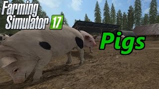 Farming Simulator 17 Tutorial | Pigs screenshot 3