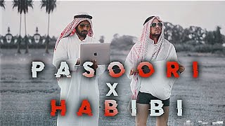 Pasoori x habibi mashup 🎧Use 🎧 hedphone best audio experience ❤️✌️🎧