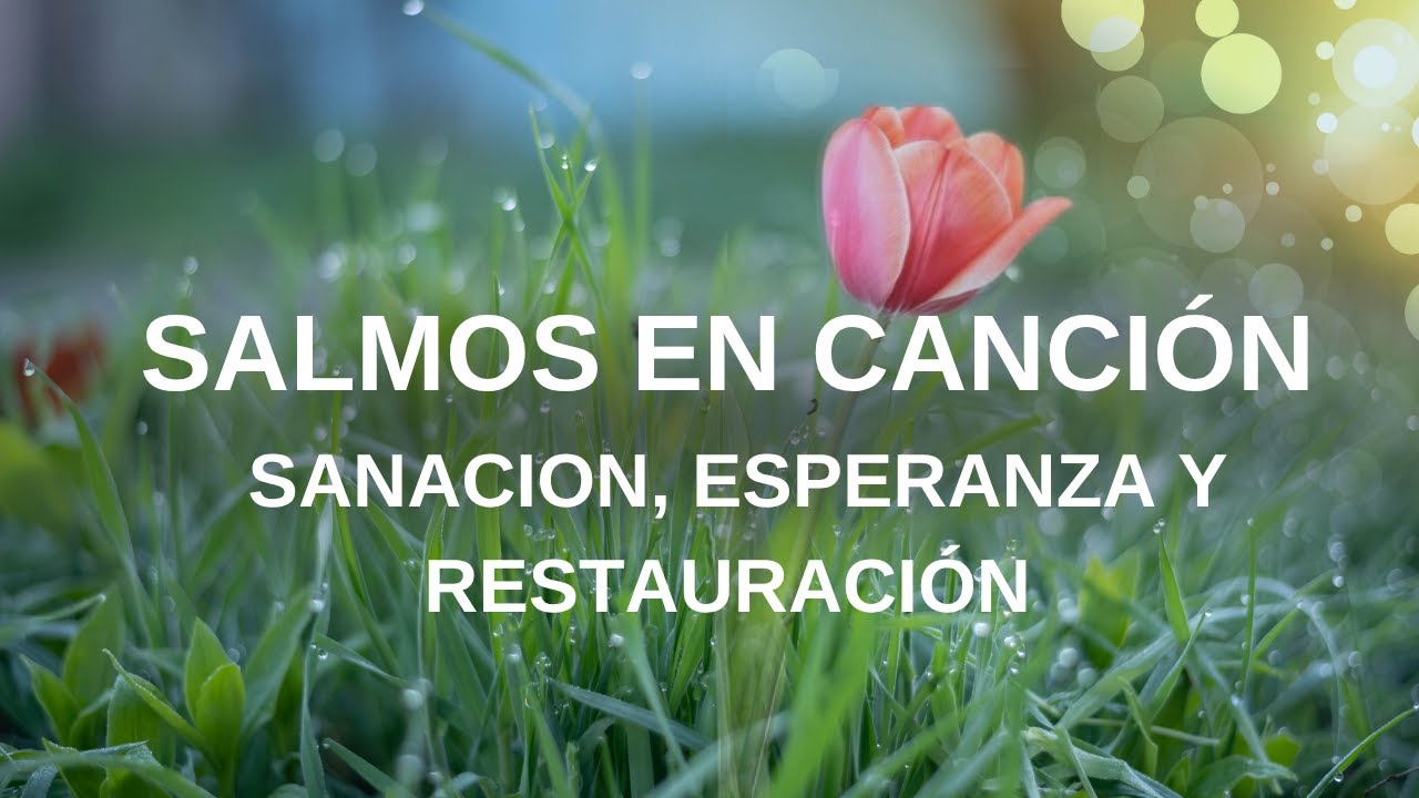 6 SALMOS CANTADOS que Sanan el Alma Herida | en música suave 🤍 - YouTube