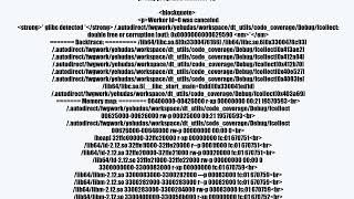 destroying a vector of threads segmentation fault